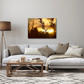 Obraz - Slnko zapadajúce za stromami (70x50 cm)