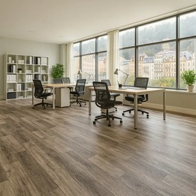 Beauflor, PVC podlaha - lino Toptex Lime Oak 796M, na mieru, šíře 4m,5m, šedá, filc, chodba / predsieň