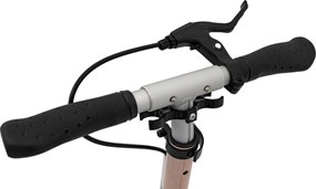 Ramiz SPORTRIKE Ružový skúter