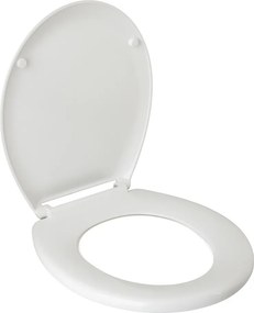 AWD WC sedadlo Duroplast Soft Close AWD02181969
