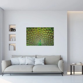 Obraz - Páv (90x60 cm)