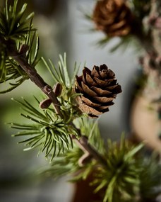 House Doctor Umelý stromček Cedar Stay Green 50 cm