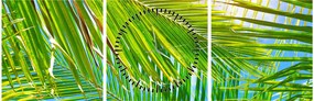 Obraz - Palmové listy (s hodinami) (90x30 cm)