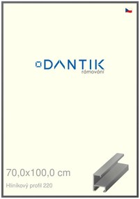 DANTIK rám na obraz 70x100 | ALU Ocelová (Plexi Čiré)