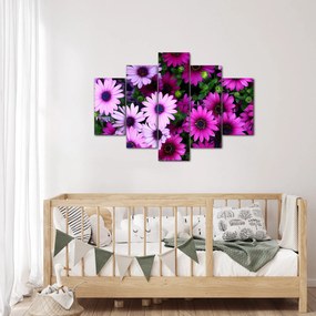 Obraz - Kvety (150x105 cm)