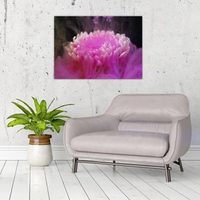 Sklenený obraz kvetiny v ružovom dyme (70x50 cm)