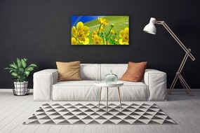 Obraz na plátne Lúka kvety dúha príroda 140x70 cm