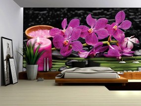 Fototapeta - Ružové orchidey (254x184 cm)