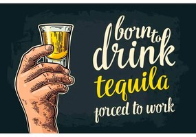 Ceduľa Born To Drink Tequila - Porced To Work