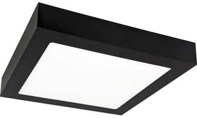LED Stropné svietidlo FENIX LED/12W/230V 3800K 17 cm
