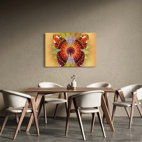 Obraz - Etno motýľ (90x60 cm)