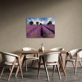 Sklenený obraz - Levanduľové pole a hory (70x50 cm)