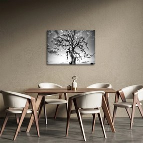 Obraz - Čiernobiely strom (70x50 cm)