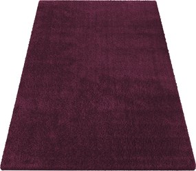 DY Obdĺžnikový fialový shaggy koberec Kamel Rozmer: 150x200 cm