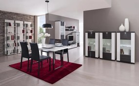 Vitrína Caracas typ 28, grafit/biely lesk, s osvetlením