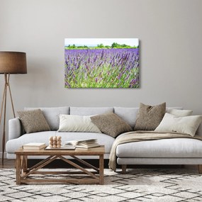 Obraz poľa s levanduľou (90x60 cm)