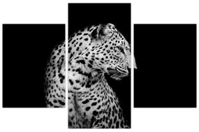 Obraz - Leopard (90x60 cm)