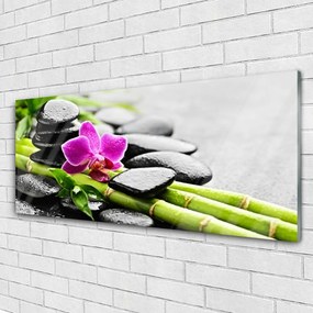 Obraz na akrylátovom skle Bambus kvet kamene umenie 125x50 cm