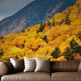 Nádherná samolepiaca fototapeta príroda v jesenných farbách