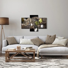 Obraz - Ležiaca mačka (90x60 cm)