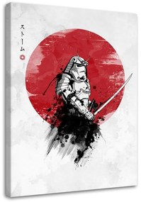 Gario Obraz na plátne Samuraj a slnko - DDJVigo Rozmery: 40 x 60 cm