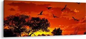 Obraz vtákov pri západe slnka (120x50 cm)