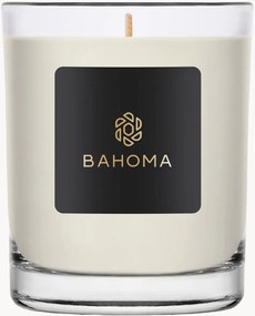 Vonná sviečka Alchemy (Amber, Sauge)
