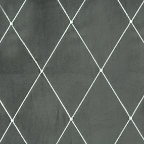 ZATEMŇOVACÍ ZÁVES NA KRÚŽKOCH PIERRE CARDIN MARGO 140X250 CM STRIEBORNÁ