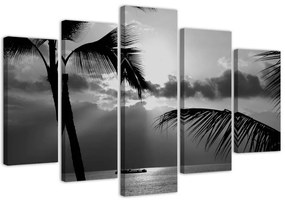 Obraz na plátně pětidílný Mořská palma černá a bílá - 200x100 cm