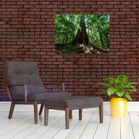 Obraz - Korene stromu (70x50 cm)