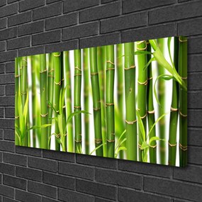 Obraz Canvas Bambusové výhonky listy bambus 125x50 cm