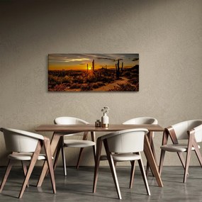 Obraz - Koniec dňa v arizonskej púšti (120x50 cm)