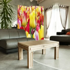Gario Paraván Pestrofarebné tulipány Rozmery: 145 x 170 cm, Prevedenie: Klasický paraván