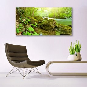 Obraz plexi Jazero kamene príroda 120x60 cm