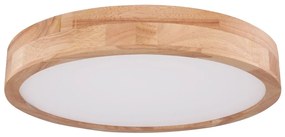 Globo 41745-24 - LED Stmievateľné stropné svietidlo RAINER LED/24W/230V + DO