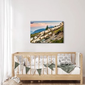 Obraz - Stádo oviec (90x60 cm)