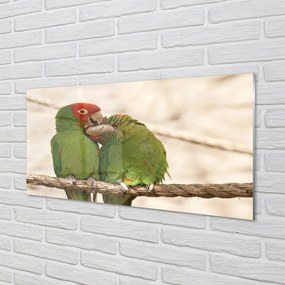 Obraz na akrylátovom skle Zelené papagáje 100x50 cm