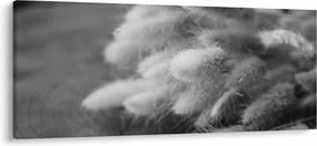 Obraz - bunny tail grass na stole (120x50 cm)
