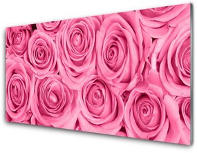 Obraz na akrylátovom skle Ruže kvety rastlina 140x70 cm