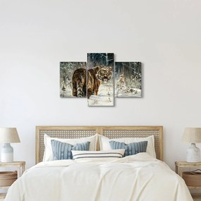 Obraz - Tiger v zasneženom lese, olejomaľba (90x60 cm)