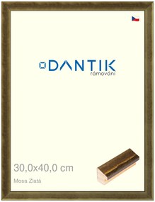 DANTIK rám na obraz 30x40 | Mosa zlatá (Plexi Čiré)