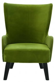 CLARA LOUNGE KRESLO kreslo