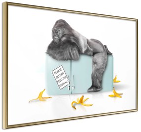 Artgeist Plagát - Hungry Gorilla [Poster] Veľkosť: 90x60, Verzia: Zlatý rám s passe-partout