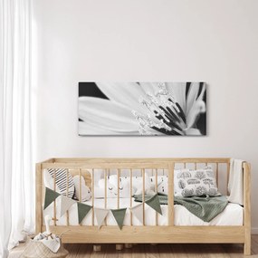 Obraz - Čiernobiely kvet (120x50 cm)