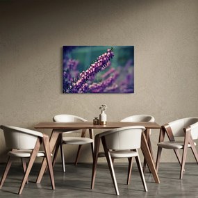 Obraz fialovej kvetiny (90x60 cm)