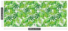 Fototapeta Vliesová Monstera palma 152x104 cm