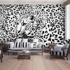 Fototapeta - Čiernobiela - gepard (152,5x104 cm)