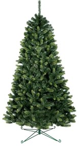 Jedlička severská 3D- 240cm