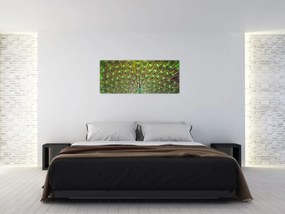Obraz - Páv (120x50 cm)