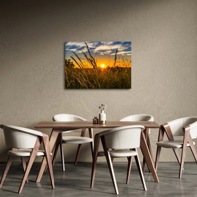 Obraz pole pri západe slnka (70x50 cm)